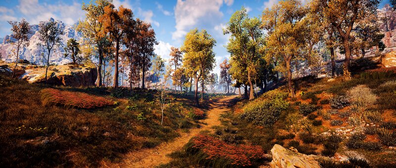 Forest Path in Autumn — Green, Serene, 3d Render