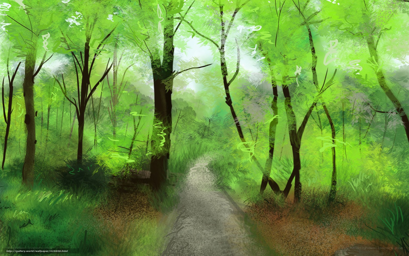 Forest path in green light