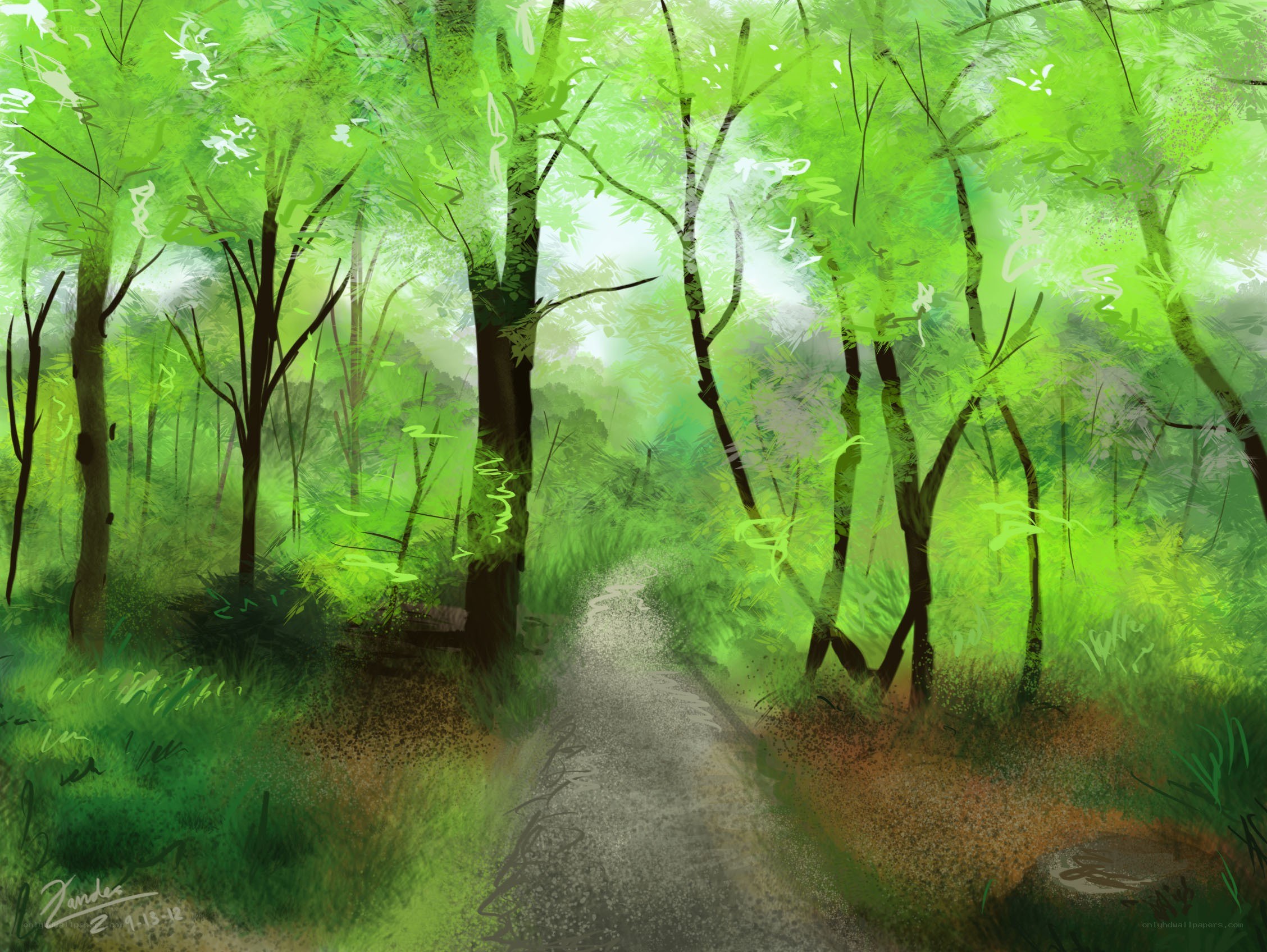 Forest path in green light
