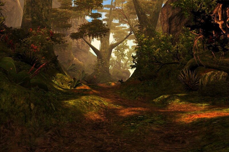 Forest Path in Jungle