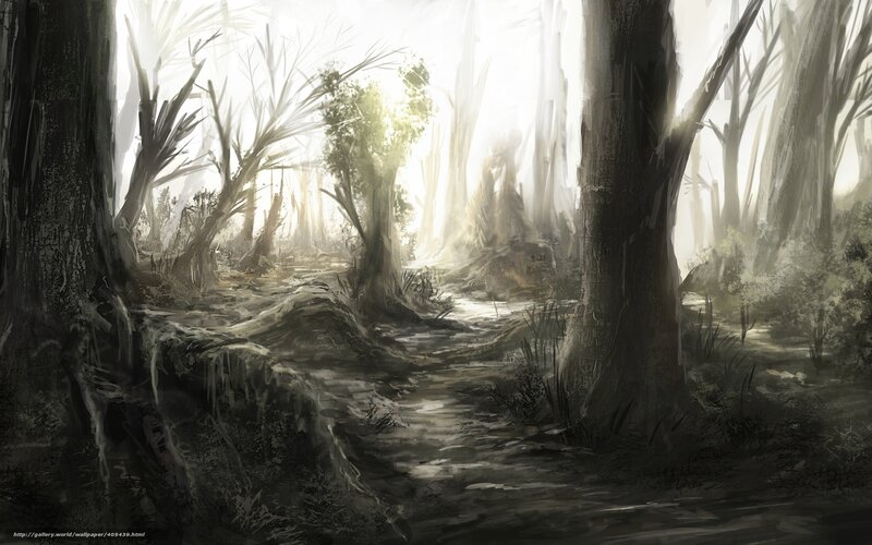 Forest Path in Mist — Gray