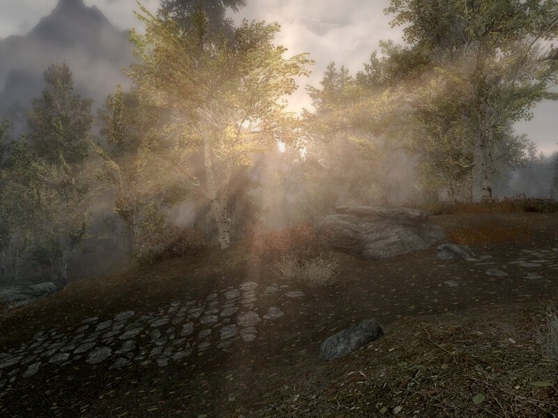 Forest Path in Mist — Green, Misty, Morning, 3d Render