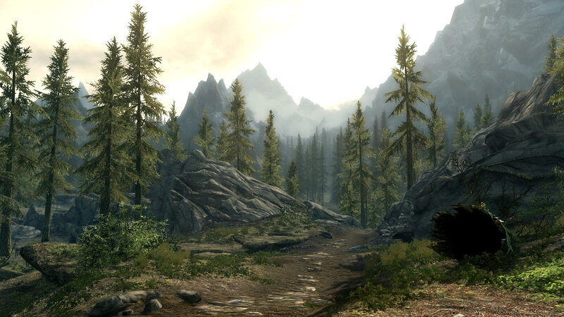 forest path in mountainous region
