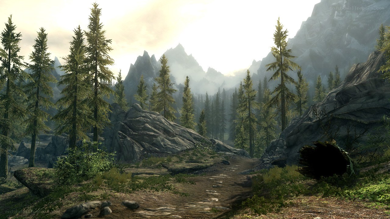 forest path in mountainous region
