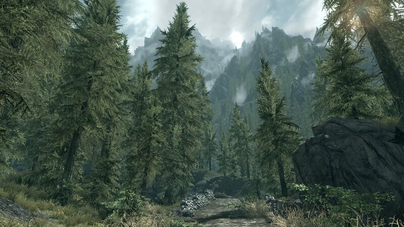 Forest Path in Mountains — Green, Serene