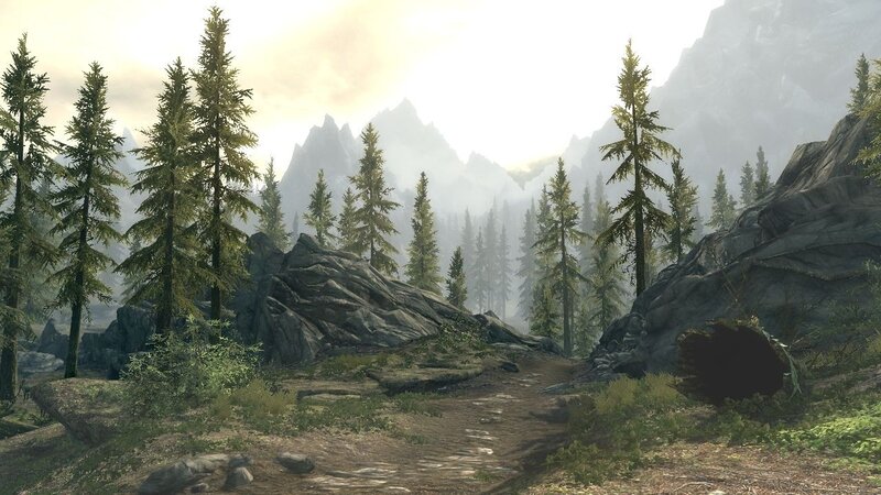 Forest Path in Mountains