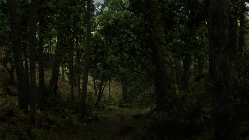 Forest Path in Woods — Green, Dark, Night