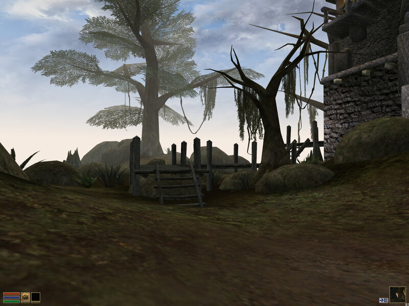 forest path near stone building