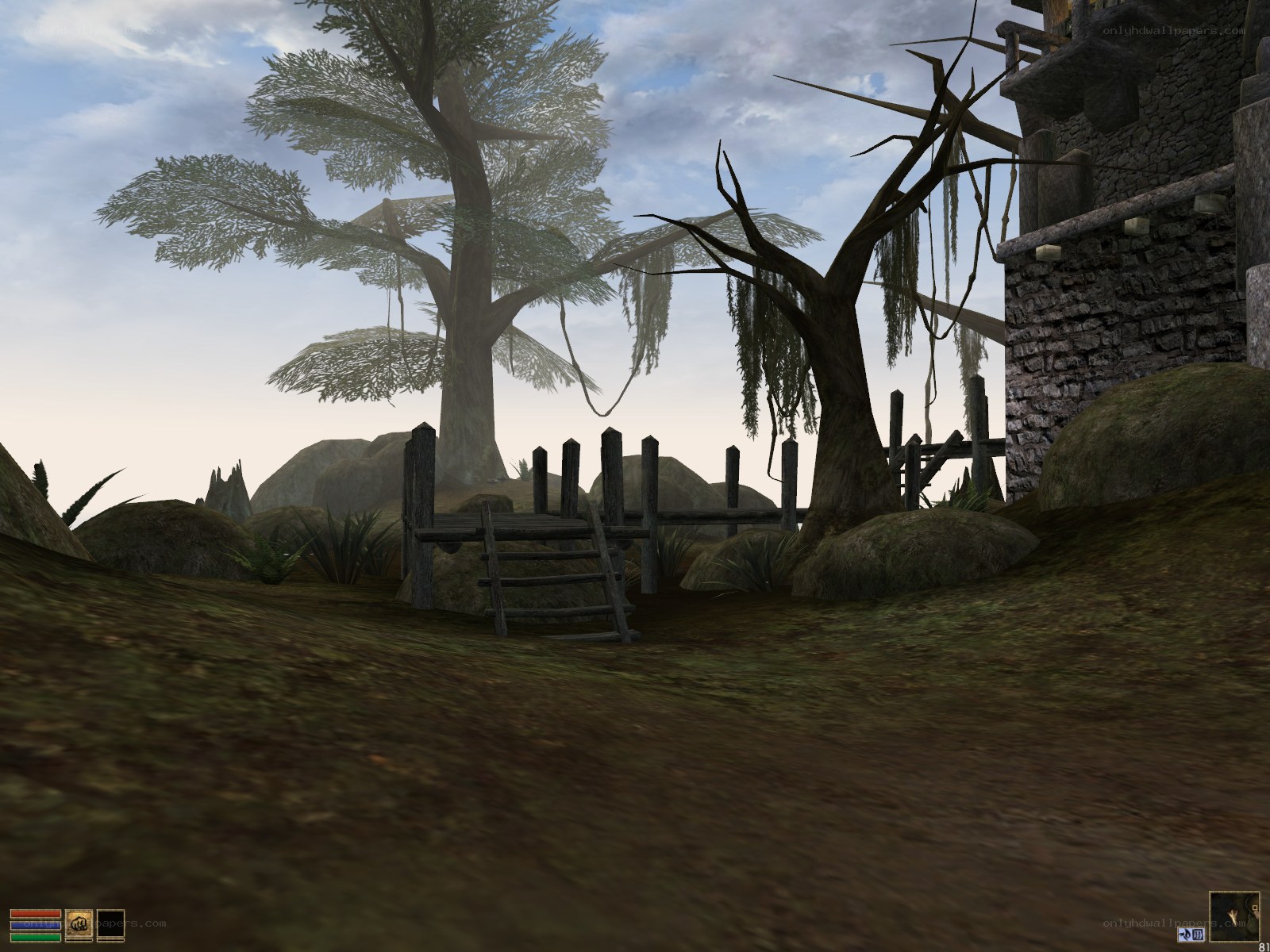 forest path near stone building