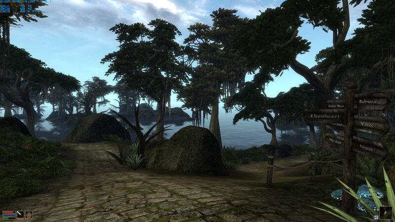 forest path near water