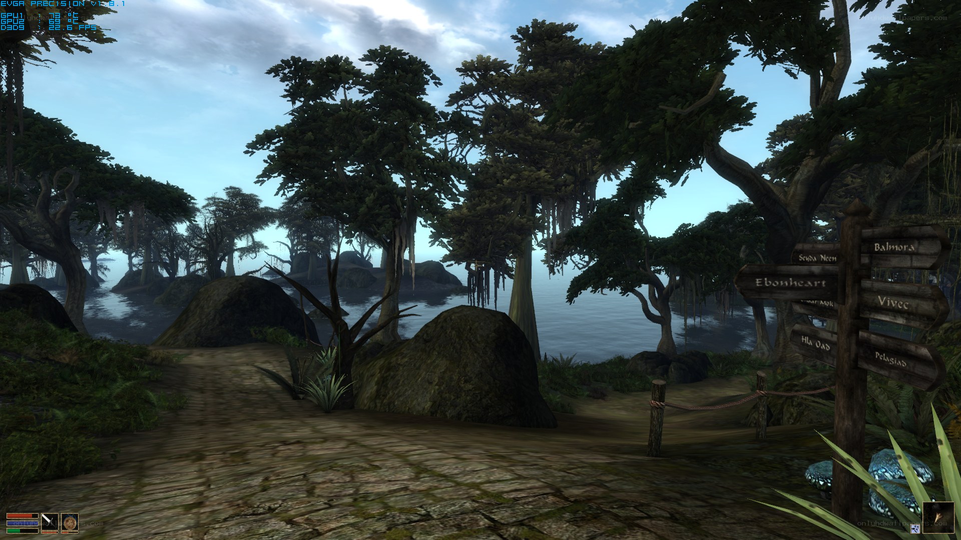 forest path near water