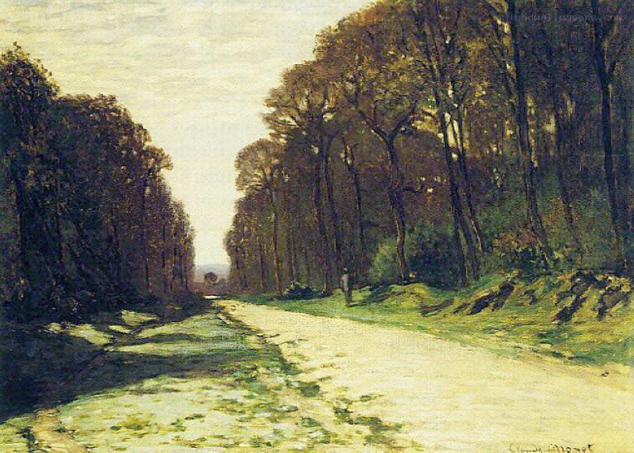 Forest Path on a Sunny Day