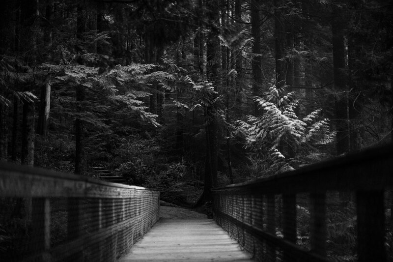 Forest path on a wooden bridge