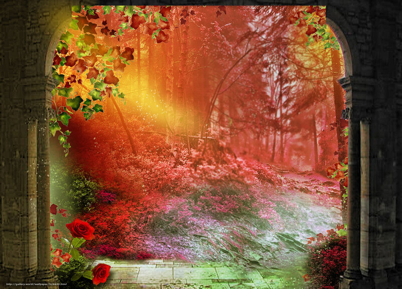 Forest path through archway