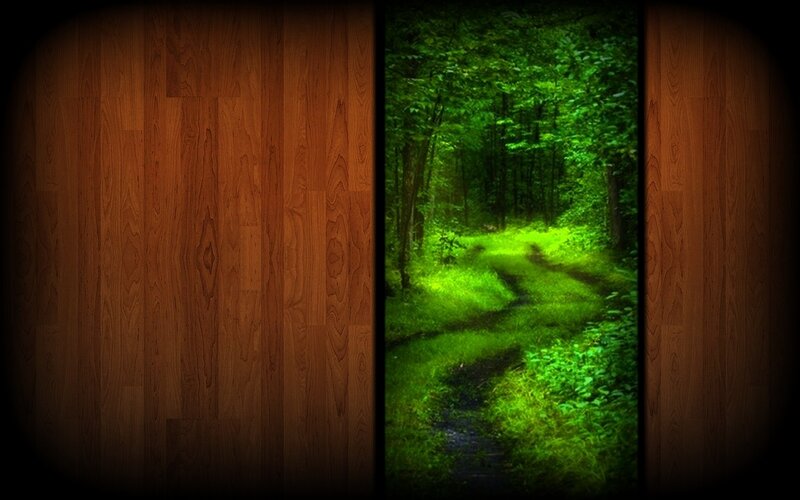 Forest Path Through Trees — Green, Serene, Morning