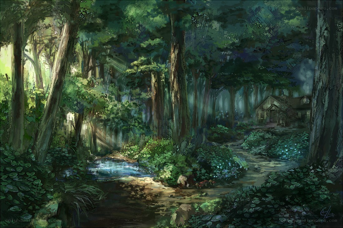 Forest path to a cottage