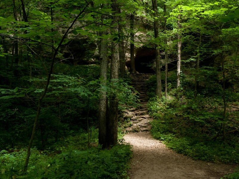 Forest Path to Cave