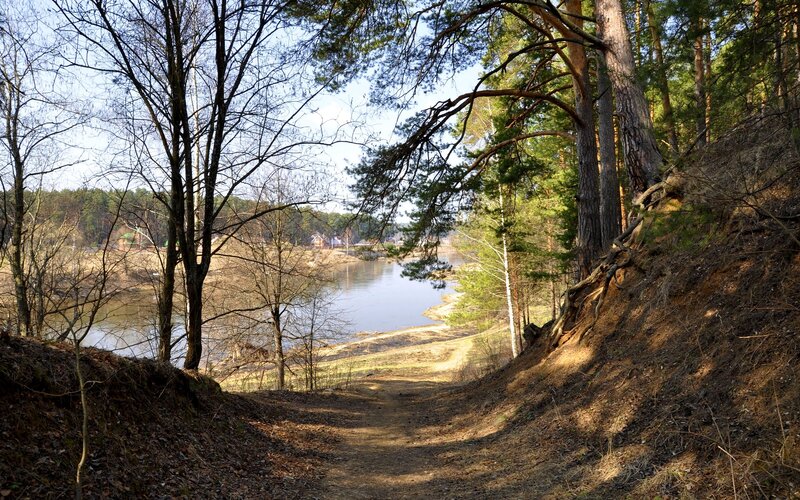 Forest path to river view