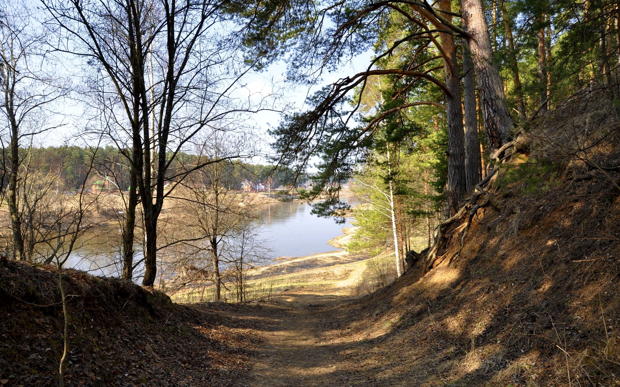 Forest path to river view