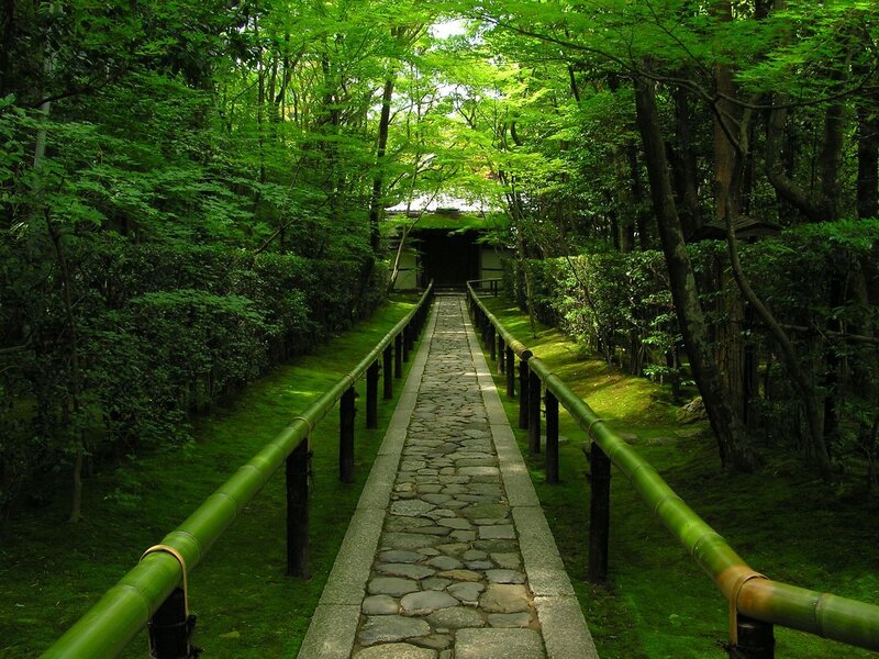 Forest path to temple