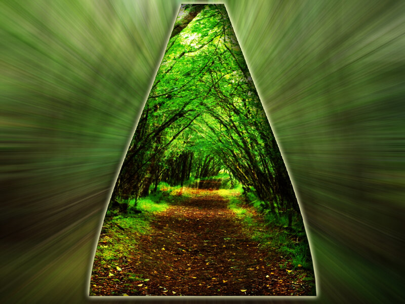 Forest Path Tunnel — Green