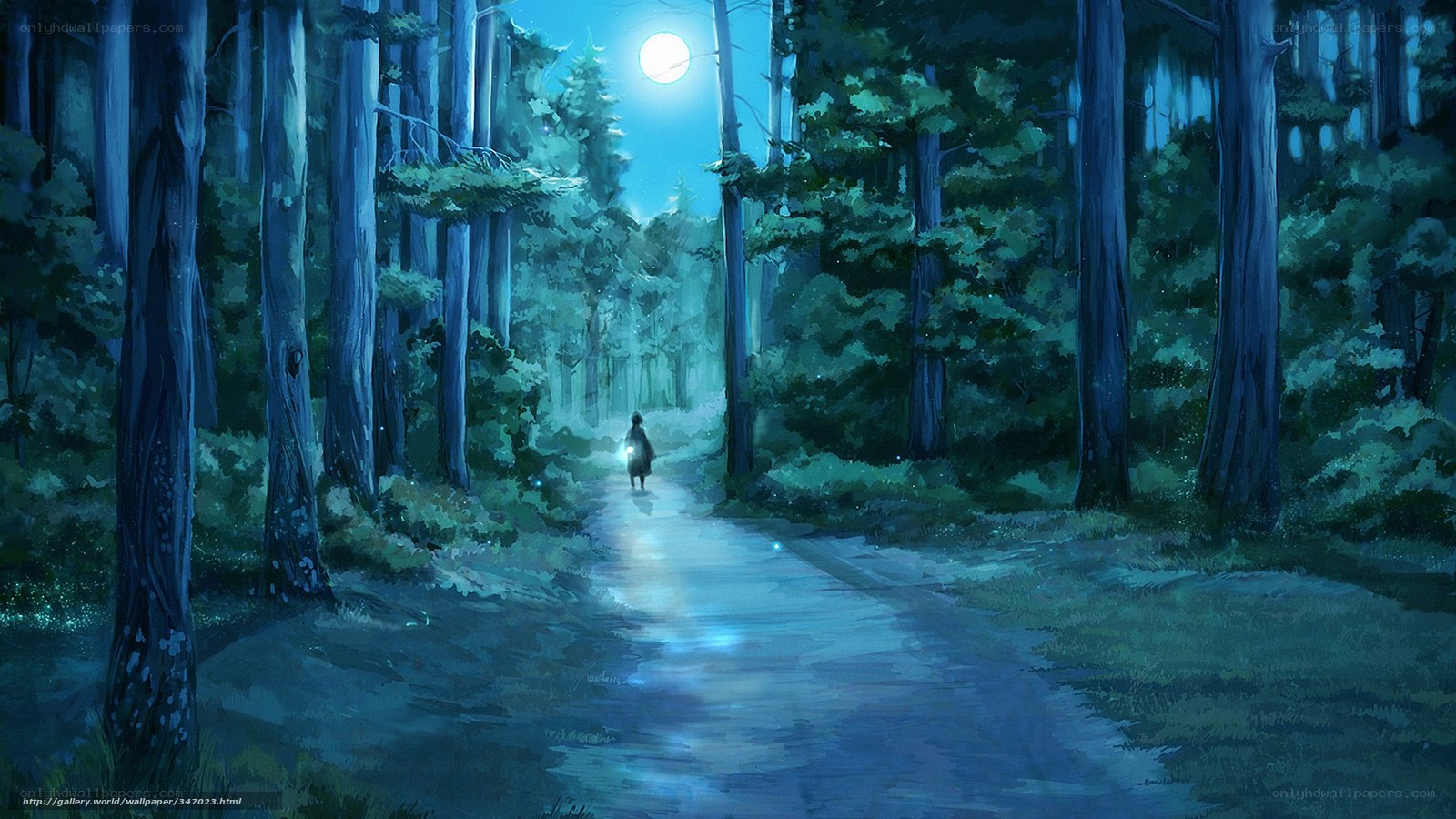 Forest path under moonlight