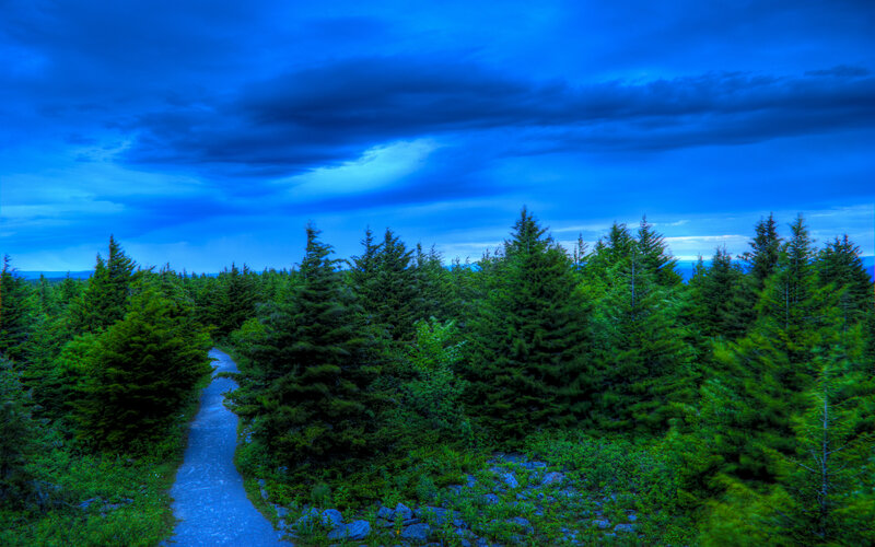 Forest Path under Stormy Sky — Blue