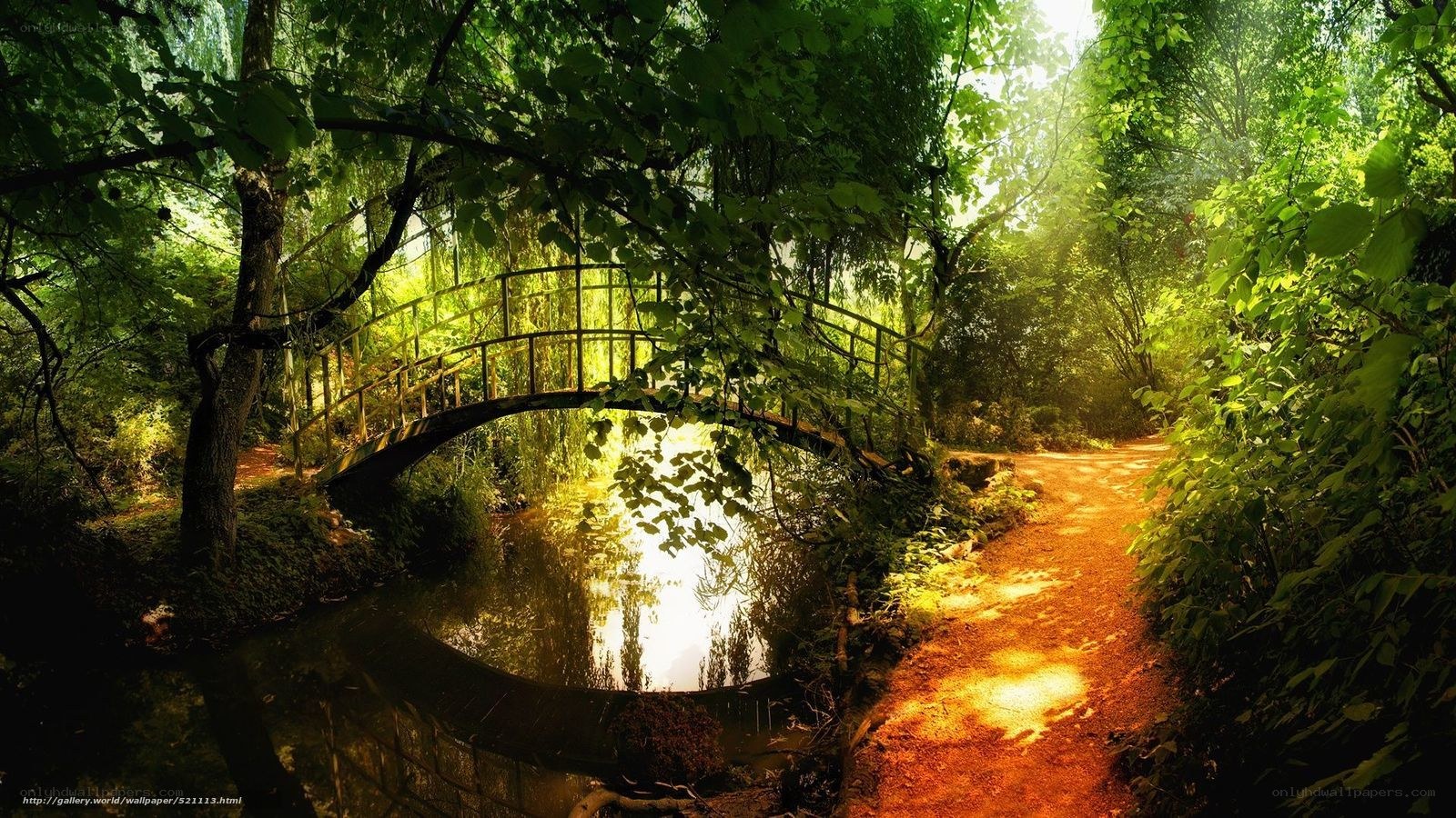 Forest path with arched bridge