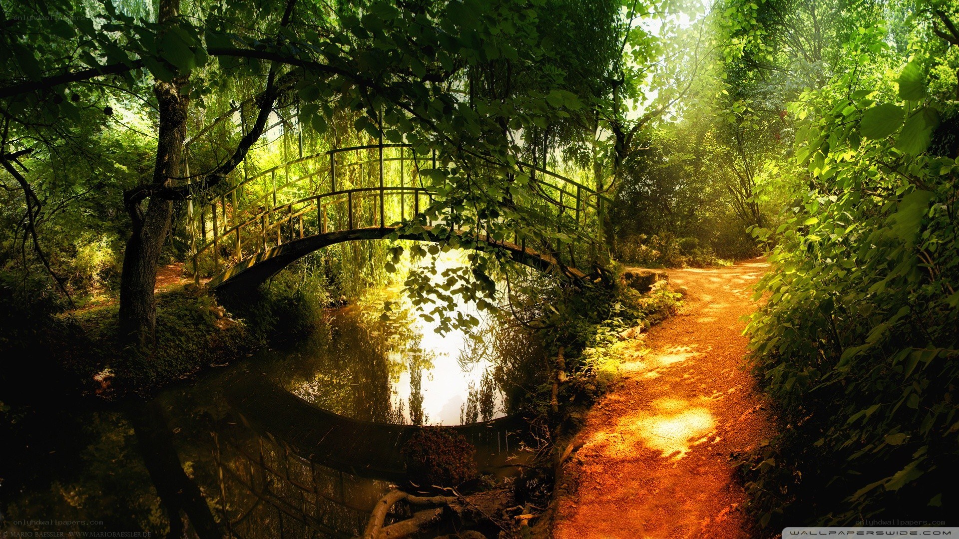 Forest path with arched bridge