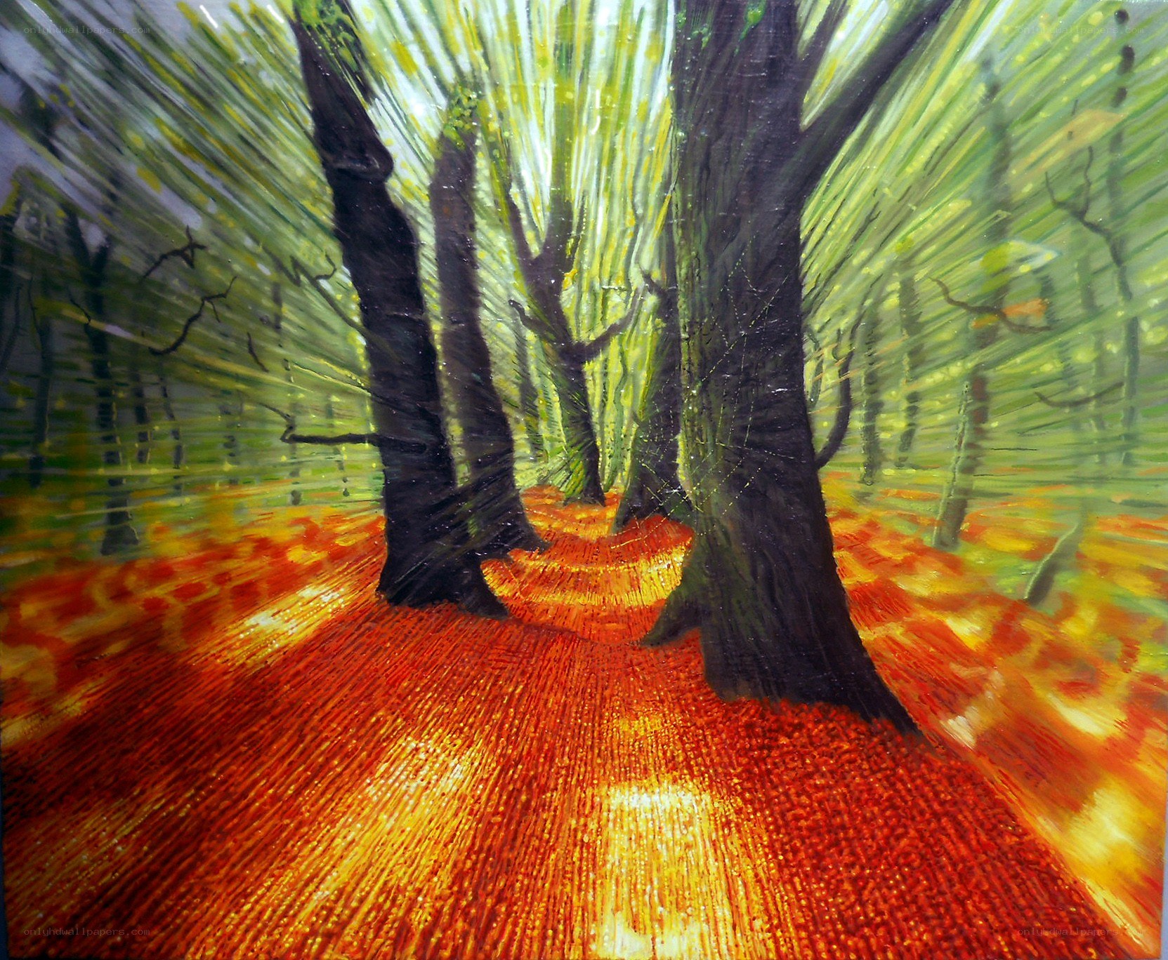Forest path with autumn leaves