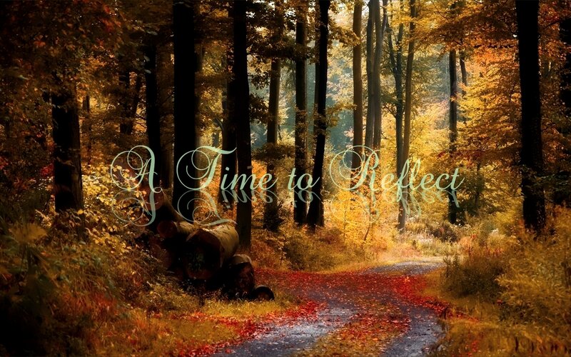 Forest Path with Autumn Leaves — Yellow