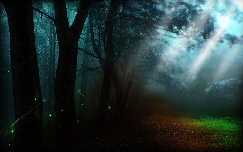 Forest Path with Glowing Lights — Green, Mysterious, Night, Digital Art