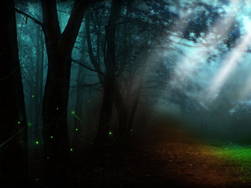 Forest Path with Glowing Lights — Green, Mysterious