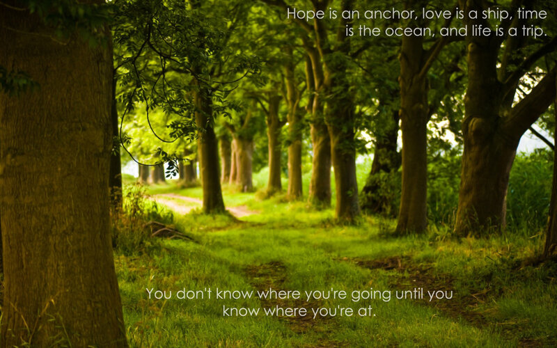 Forest path with inspirational quote