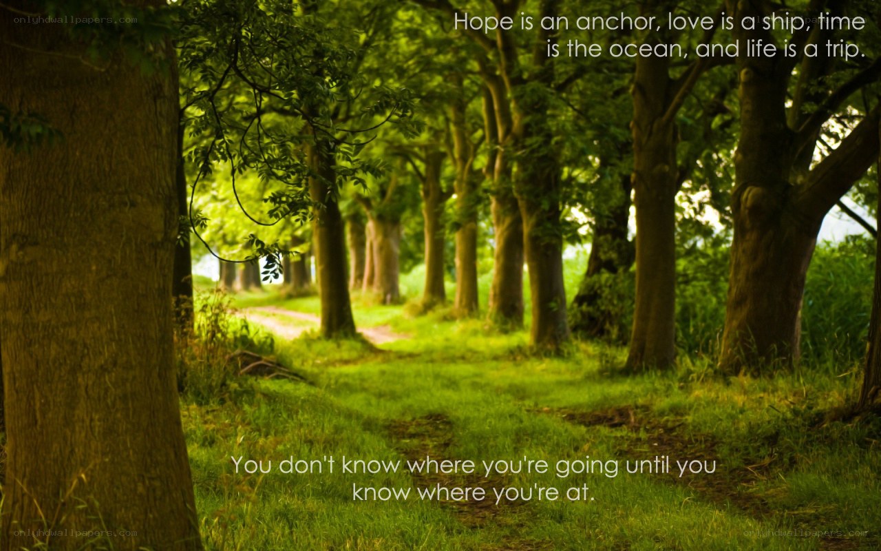 Forest path with inspirational quote