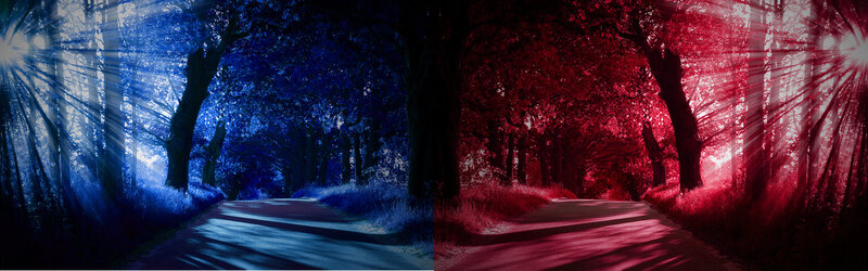 Forest Path with Light Rays — Blue