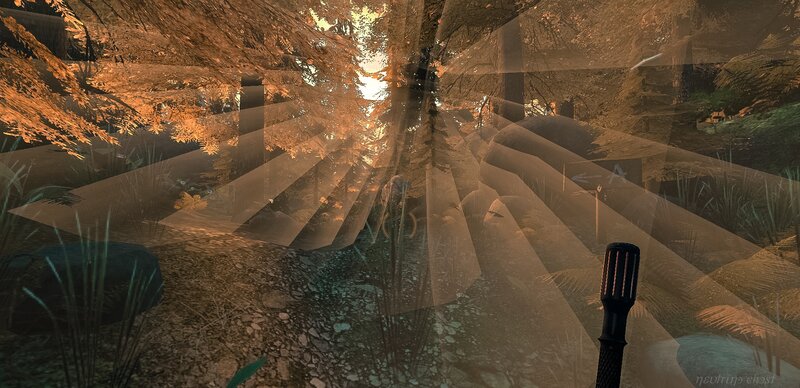 Forest Path with Light Rays