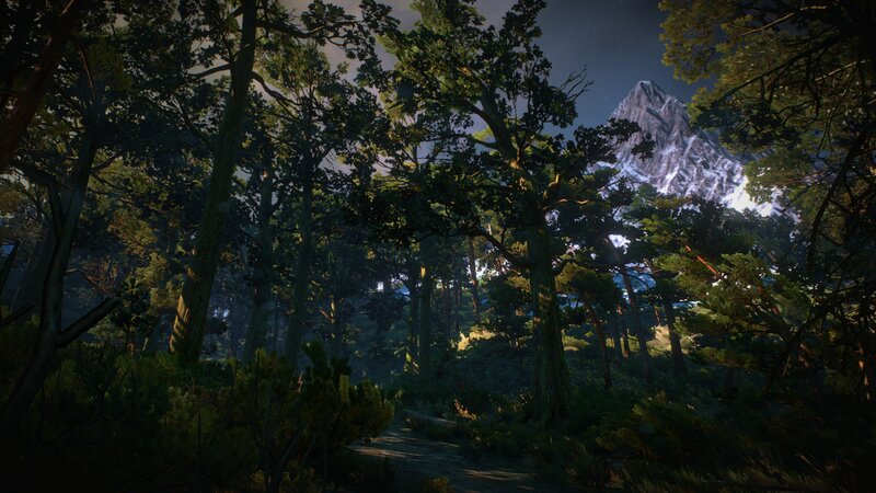 Forest Path with Mountain