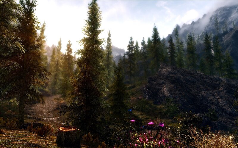 forest path with mountains