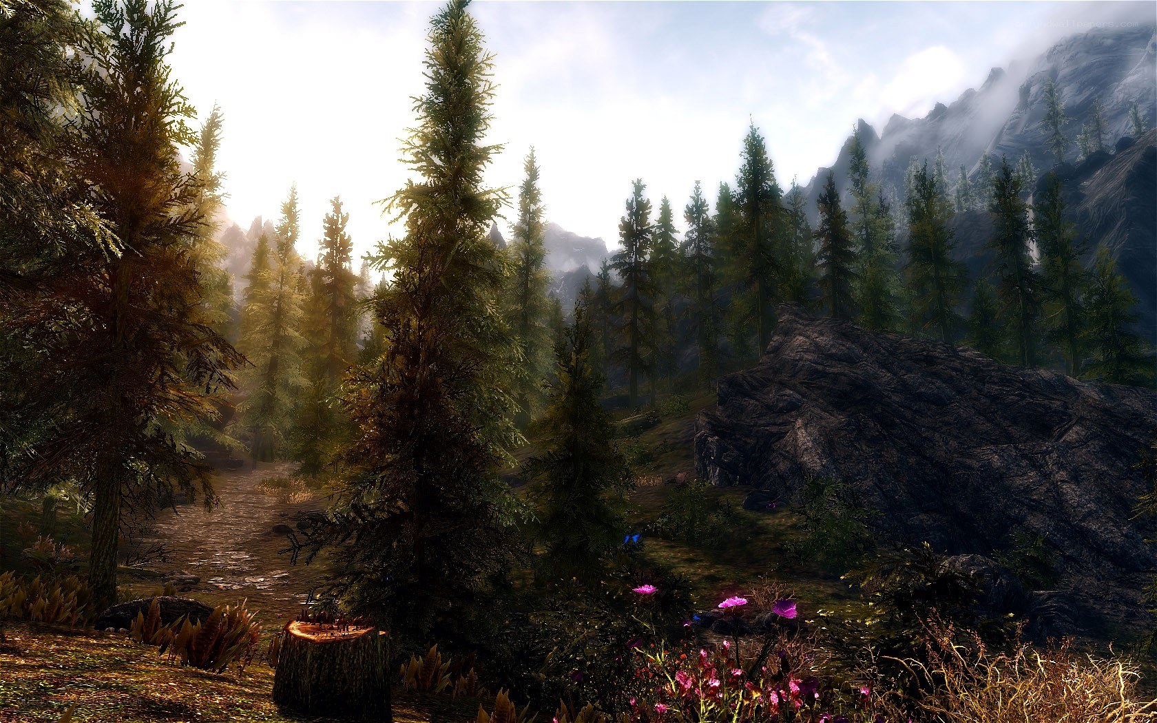 forest path with mountains