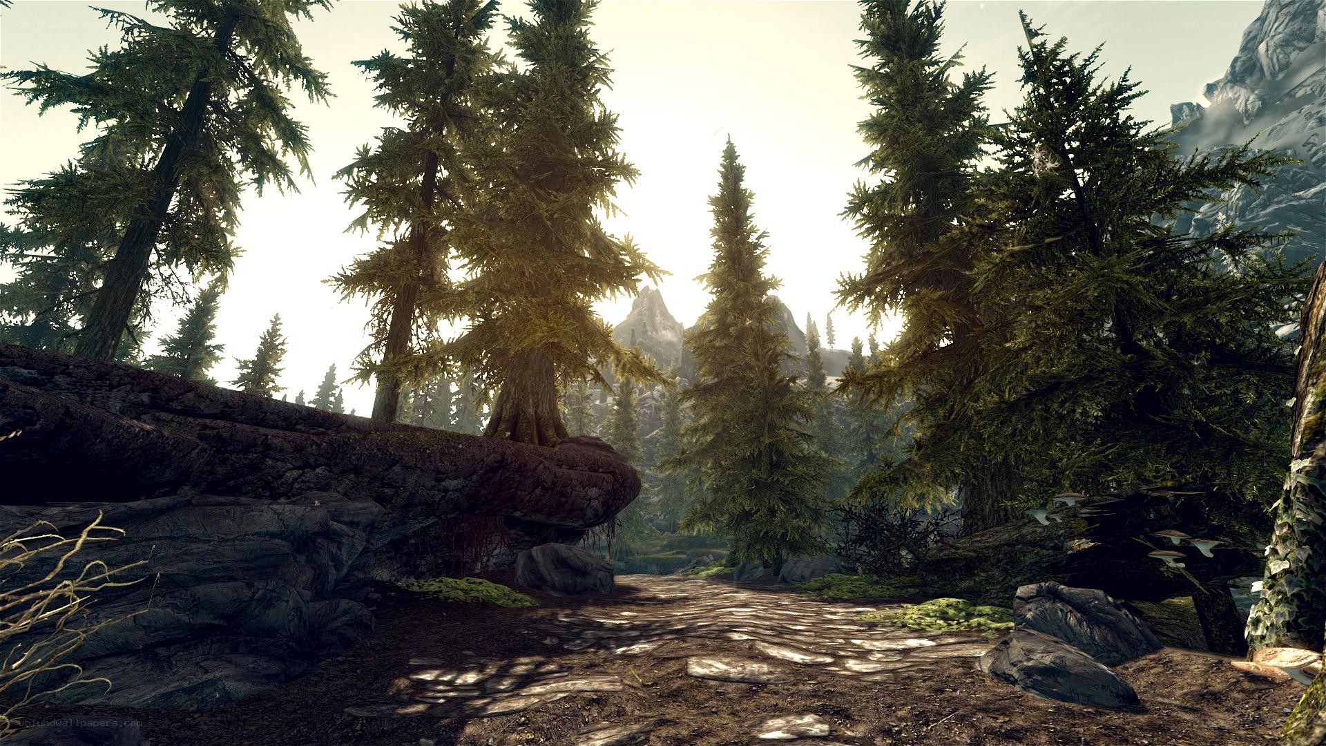 forest path with mountains