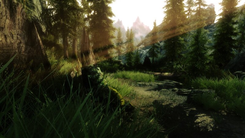 Forest Path with Mountains — Green, Serene, Morning