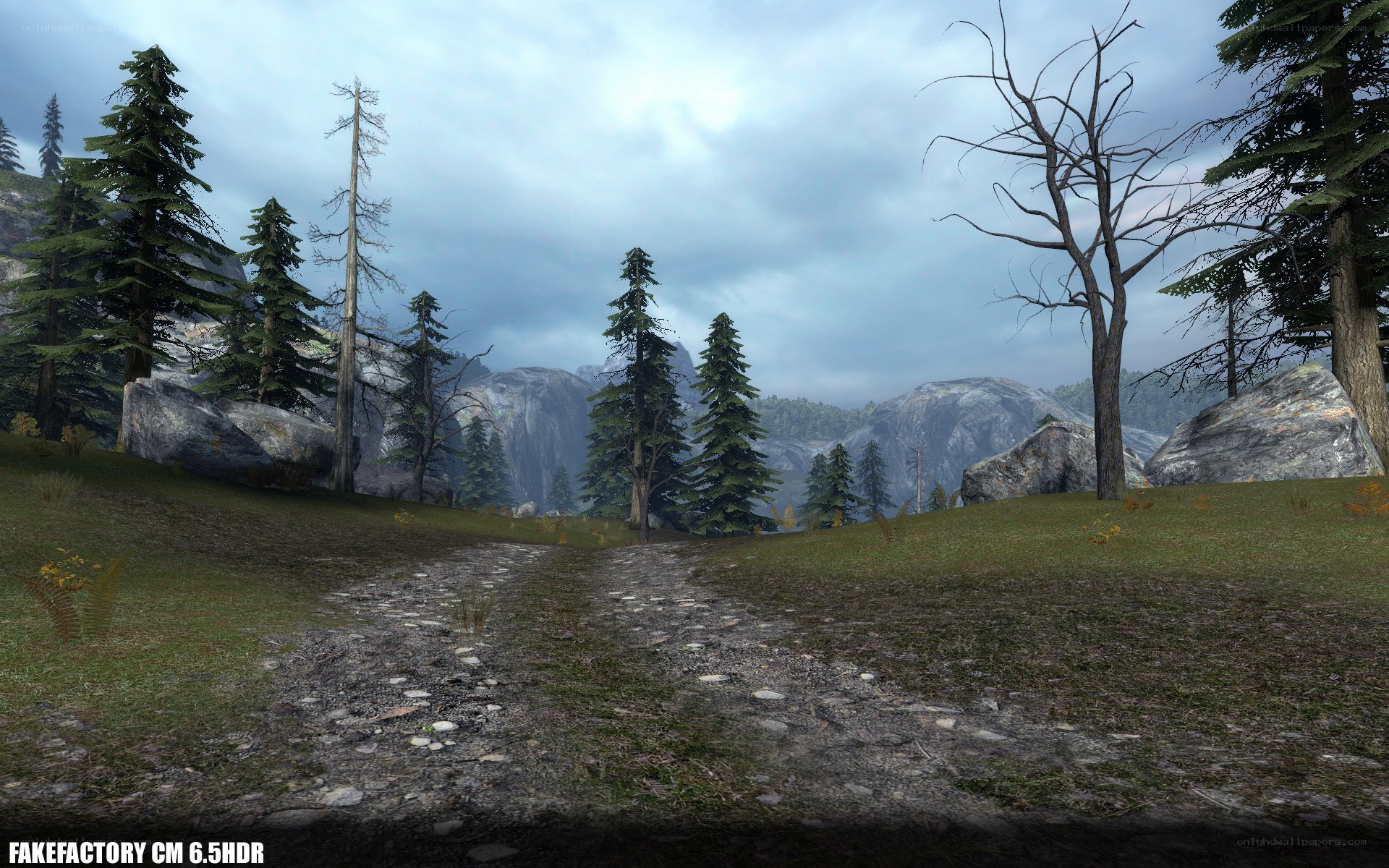 forest path with mountains