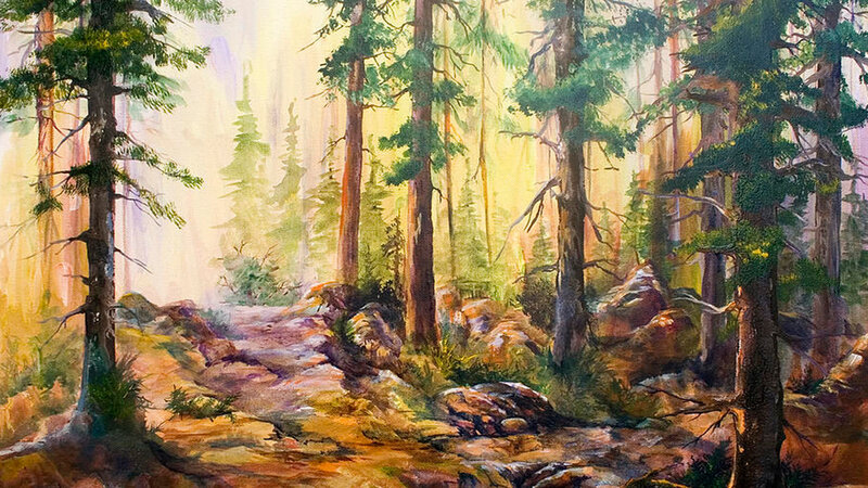 Forest Path with Pine Trees — Green, Serene