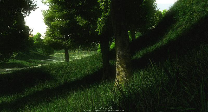 Forest Path with Pond
