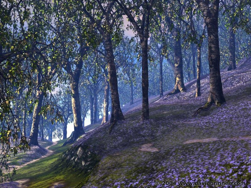 Forest Path with Purple Flowers — Serene