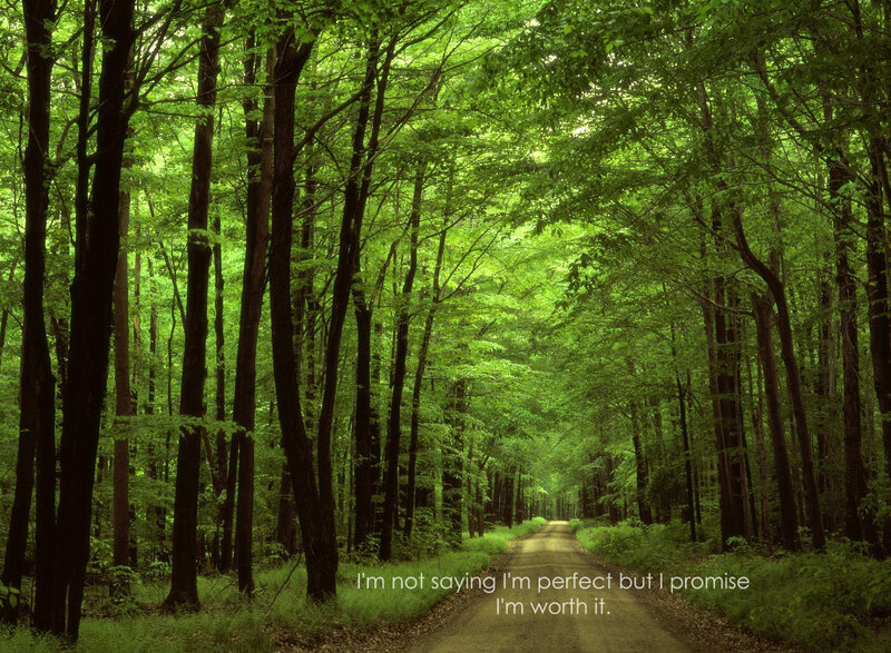 forest path with quote