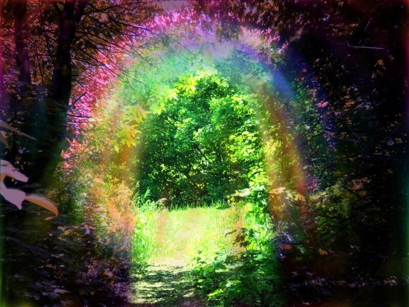 Forest Path with Rainbow Light