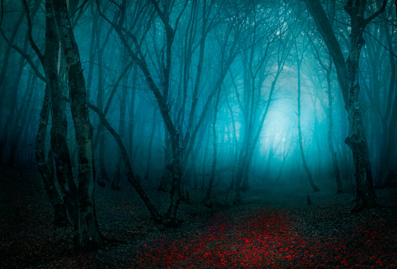Forest Path with Red Leaves — Blue