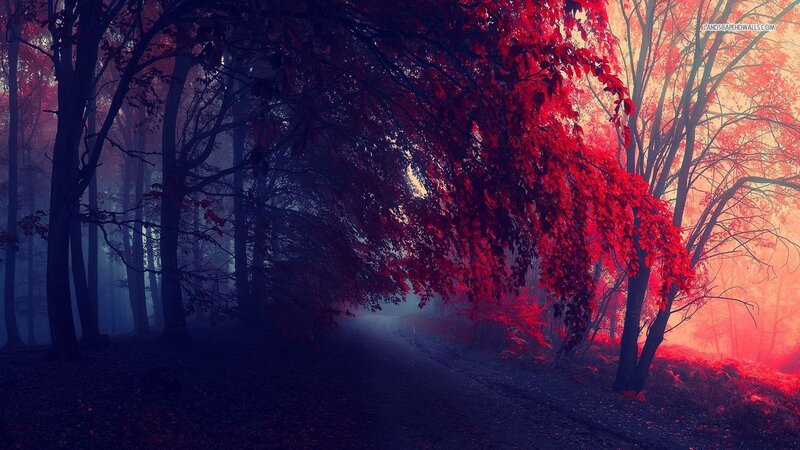 Forest Path with Red Leaves — Mysterious, Autumn, Digital Art